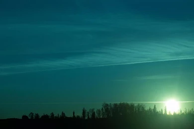 Sunrise In Forrest 1440x900 Wallpapers, 1440x900 Wallpapers ...