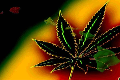 Cool Weed Backgrounds   Bing Images