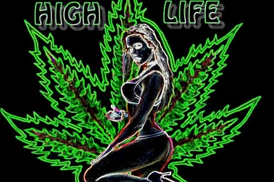 HIGH LIFE