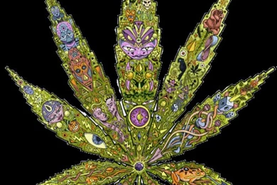 Mint Green And White Backgrounds Gifs