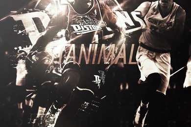 Jestingstock.com Stanley Johnson Pistons Wallpapers