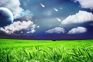 Xp大草原桌面图片,桌面壁纸图片下载,高清电脑桌面壁纸  天天图片网