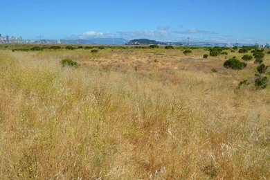 Alameda Point Environmental Report
