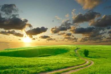 Cool Vinyl 1(W)x1.5(H)m Backdrop Crooded Road Grassland ...