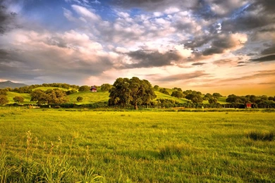 Grassland Wallpapers   Full HD Wallpapers Search