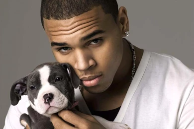 Chris Brown Wallpapers And Images   Wallpapers, Pictures, Photos