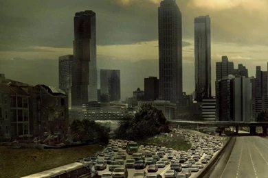 The Walking Dead Poster 1152x864 Wallpapers   (