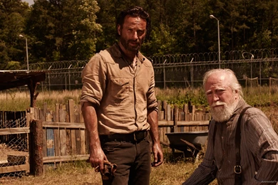 1366x768 Rick Hershel The Walking Dead Season 4 Wallpapers