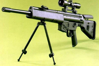 Gun Wallpapers   Crazy Frankenstein