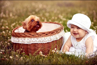 Wallpapers Cute Baby Free Download   5 Items