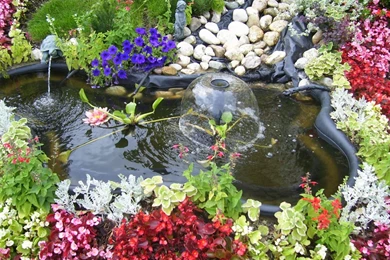 1280x1024 Nature Flowers Desktop PC And Mac Wallpapers