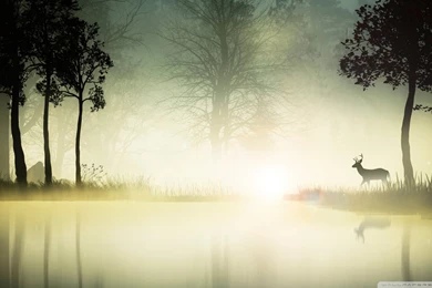 Download The Deer Wallpapers 1920x1080