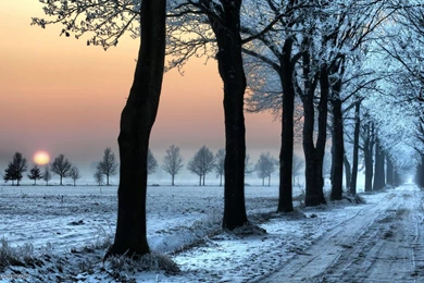 Winter Wallpapers Hd Wallpapers   221871