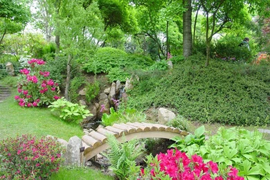 Garden Flowers Wallpapers   Crazy Frankenstein