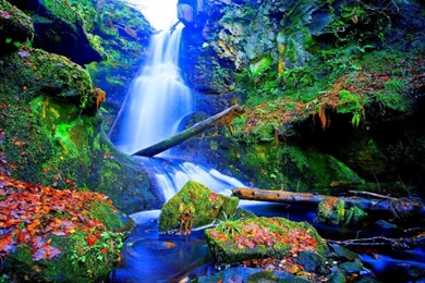 Forest Falls Desktop Backgrounds Wallpapers 1592428 25600x1600 Falls ...