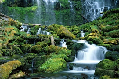 Desktop Wallpapers · Gallery · Nature · Waterfalls Of Oregon ...