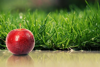 YouWall   Apple Next To Grass Wallpapers   Wallpaper,wallpapers ...