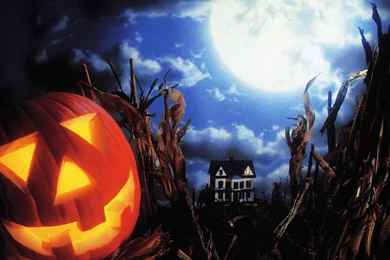 HD Wallpapers — New Wallpapers Download On...