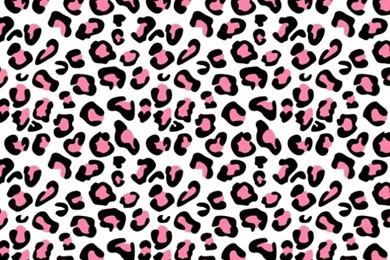 Animal Print On Pinterest