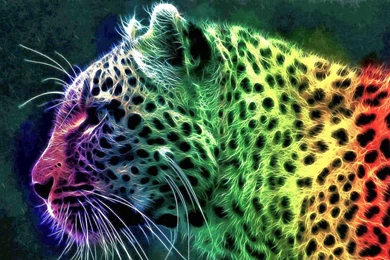 Rainbow Cheetah Wallpapers