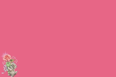 Kitten Rose Plain Backgrounds Wallpaper, Background, Picture And Layout