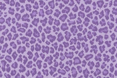 Sassy Purple Cheetah Wallpapers Brewster Wallcovering ...