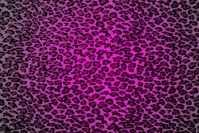 Animal Print Desktop Backgrounds   Wallpapers Cave