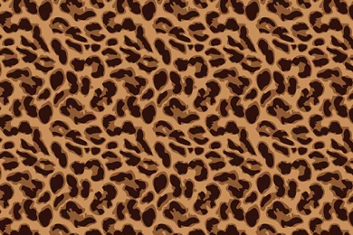 Leopard Print Wallpapers   Best Car 2015