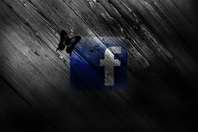 Holi 2012 Wallpapers For Facebook