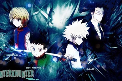 Hunter X Hunter 2011 HD Wallpaper.jpg
