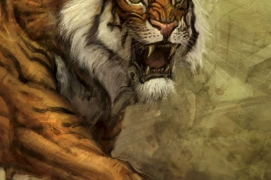 Download Wallpapers 1080x1920 Tomb Raider, Core Design, Crystal ...