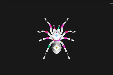 Polygon Tarantula Wallpapers   Vector Wallpapers