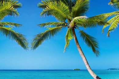 Barnes And Noble Nook HD Plus Skins Vinyl Popular Designs