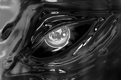 Browse Art   DeviantArt