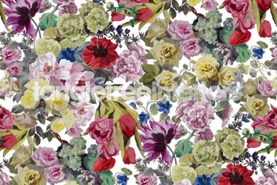 Orangerie Fabric From Designers Guild   F1753 01   Rose