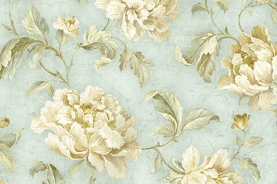 Neutral Cabbage Rose Trail Wallpapers   Traditional   Wallpapers ...