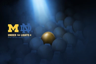 Michigan Football Fan Art   The Art. The Art. The Art!