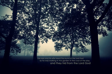 Christian Cool Fog Trees Garden Voice Walking Man Heard Sound God ...