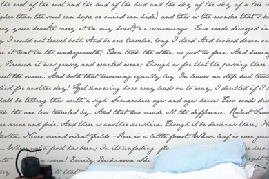 Sneak Peak At One Of Our NEW Removable Wallpapers Designs.