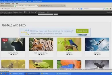 The Best Theme Wordpress Wallpapers Script YouTube