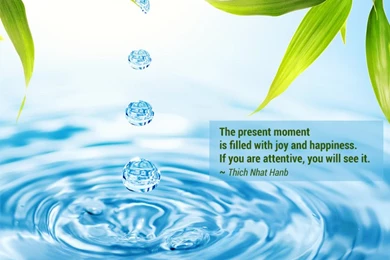 Free Zen Lama Wallpapers