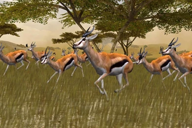 Fondos De Juegos, Cabela's African Safari, Fondos De Cabela's ...