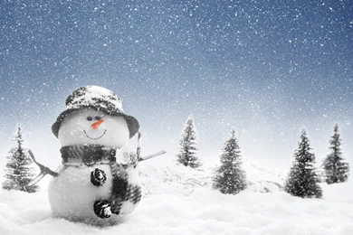 Winter Snowman Wallpapers