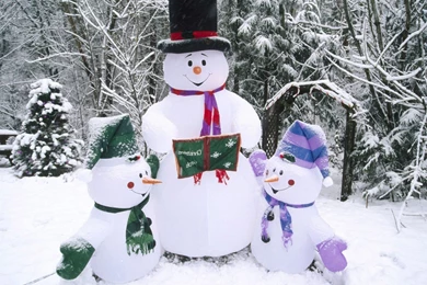 Winter Greetings Wallpapers   Crazy Frankenstein