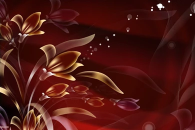 Wallpapers Transparant Transparent Flowers On Red Free Desktop Hd ...