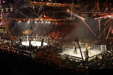 MMA Martial Arts Action Fighting Warrior Boxing Wrestling ...