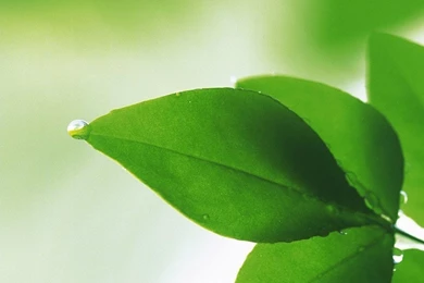 Wallpapers For Samsung Galaxy S4   Thousands Of HD Wallpapers For ...