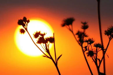 Wallpapers For Samsung Galaxy S4   Thousands Of HD Wallpapers For ...