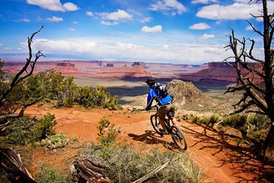 Cycling Wallpapers For Desktop   HD Wallpaper Backgrounds Of Your ...