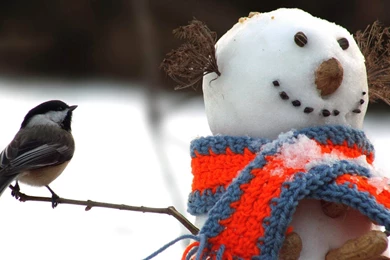 Download Wallpapers 1920x1080 Tomtit, Bird, Snowman, Scarf, Snow ...